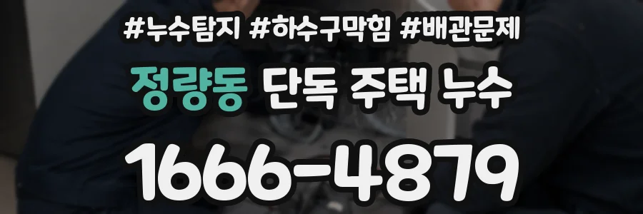 정량동 단독 주택 누수