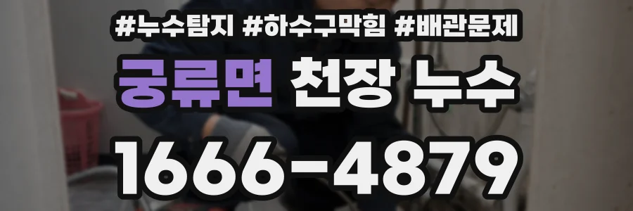 궁류면 천장 누수