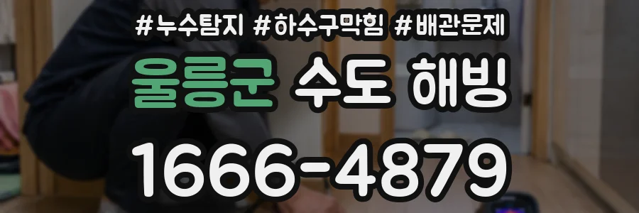 울릉군 수도 해빙
