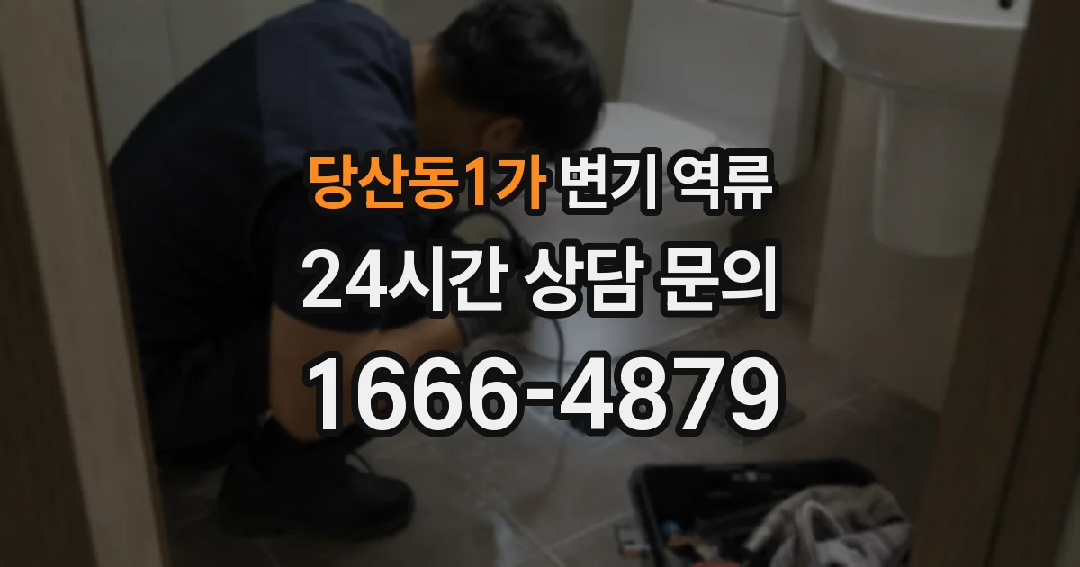 당산동1가 변기 역류