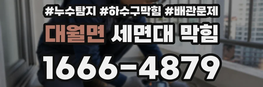 대월면 세면대 막힘