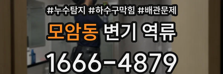 모암동 변기 역류
