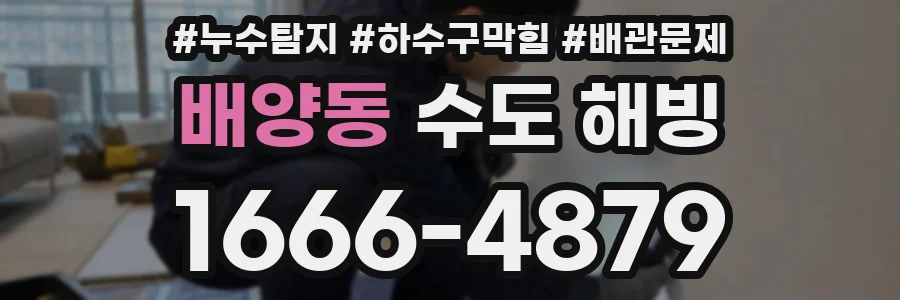 배양동 수도 해빙