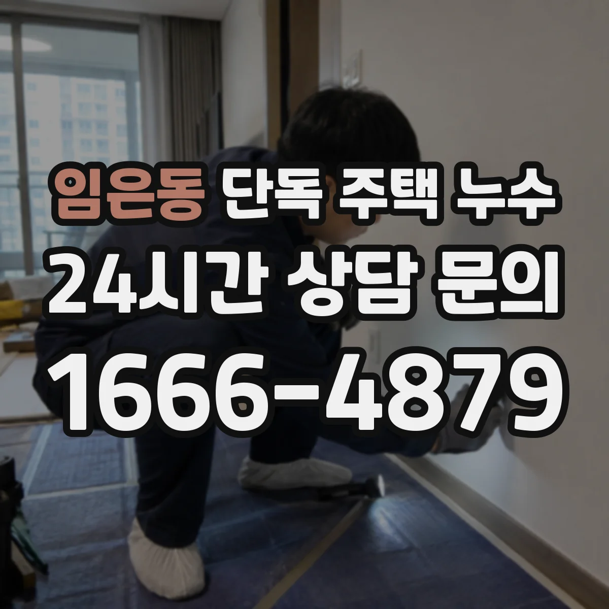 임은동 단독 주택 누수