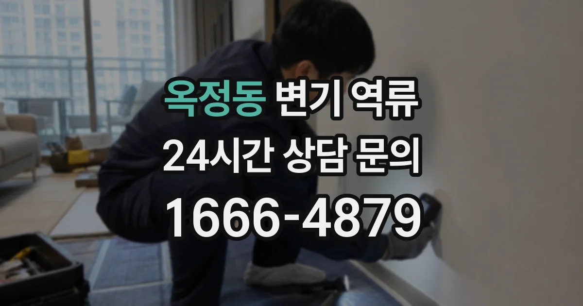 옥정동 변기 역류