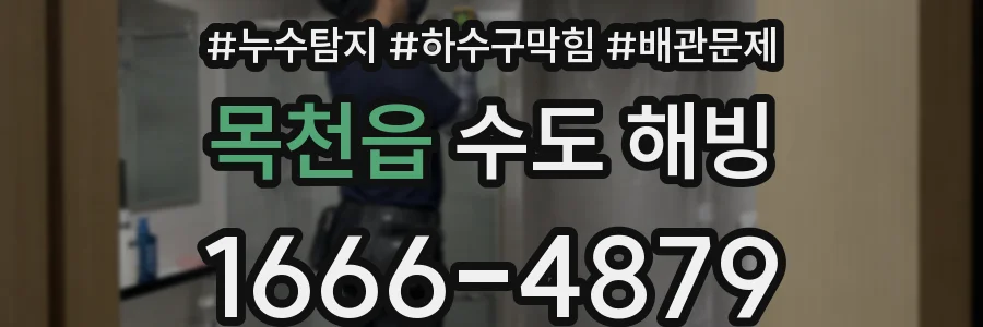 목천읍 수도 해빙