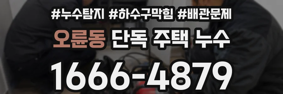 오륜동 단독 주택 누수