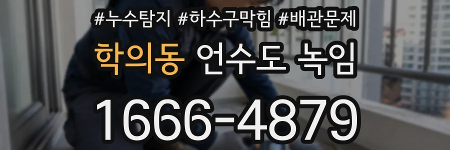 학의동 언수도 녹임