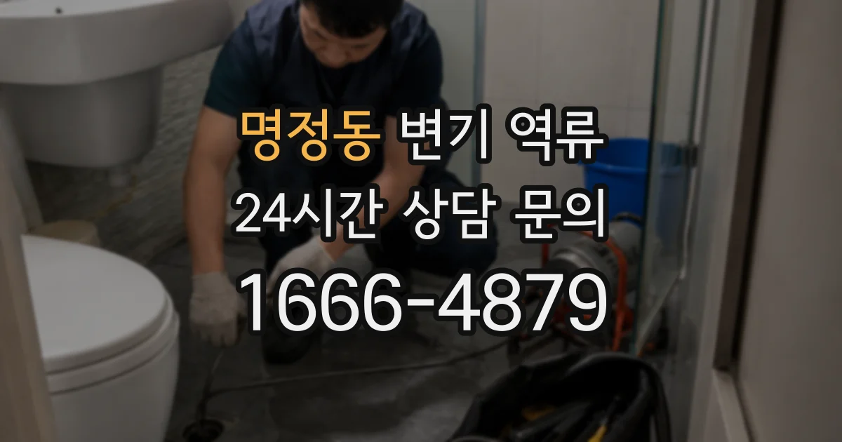 명정동 변기 역류