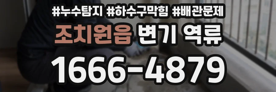 조치원읍 변기 역류