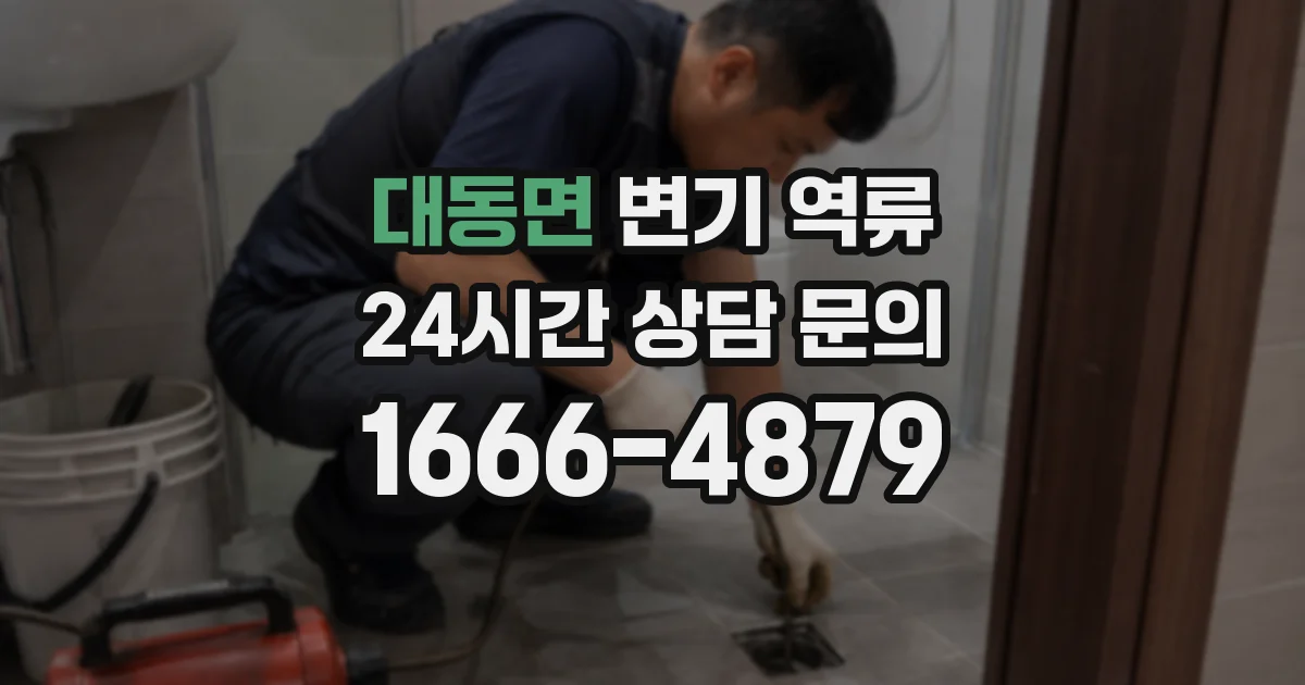 대동면 변기 역류