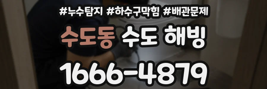 수도동 수도 해빙