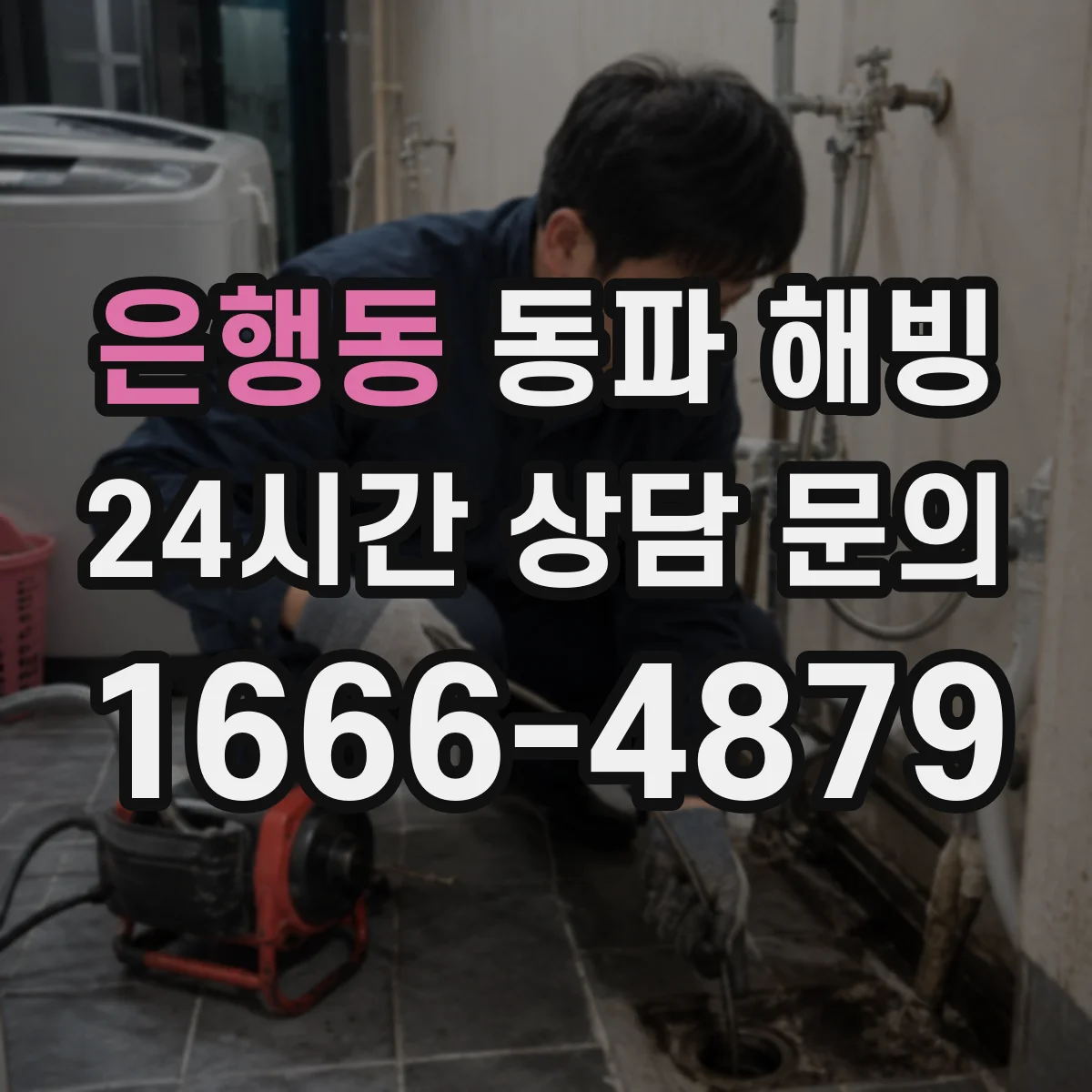 은행동 동파 해빙