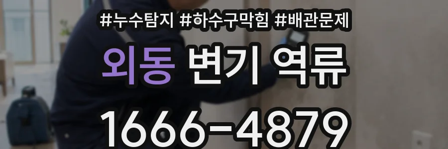외동 변기 역류