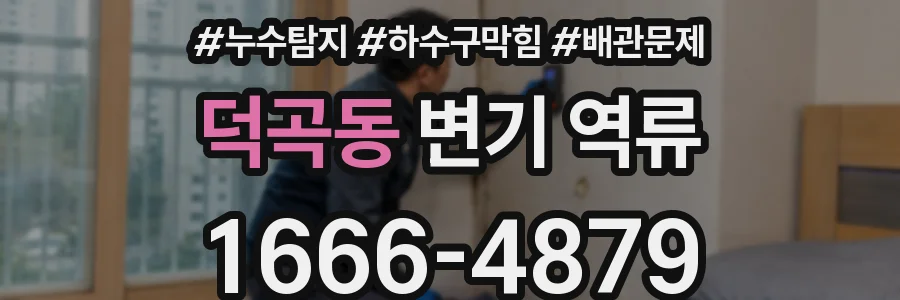 덕곡동 변기 역류