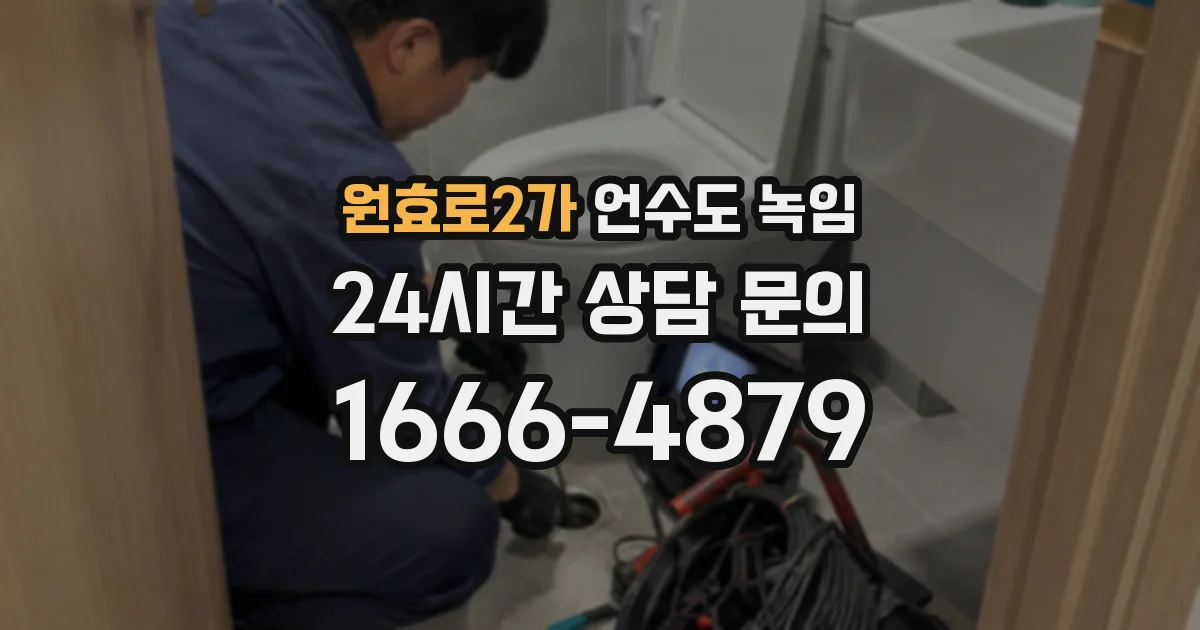 원효로2가 언수도 녹임