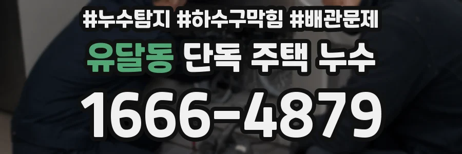 유달동 단독 주택 누수