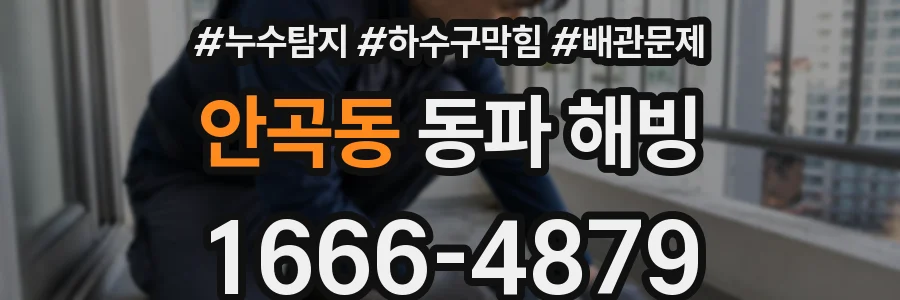 안곡동 동파 해빙