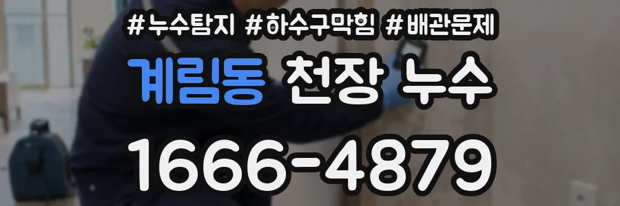 계림동 천장 누수