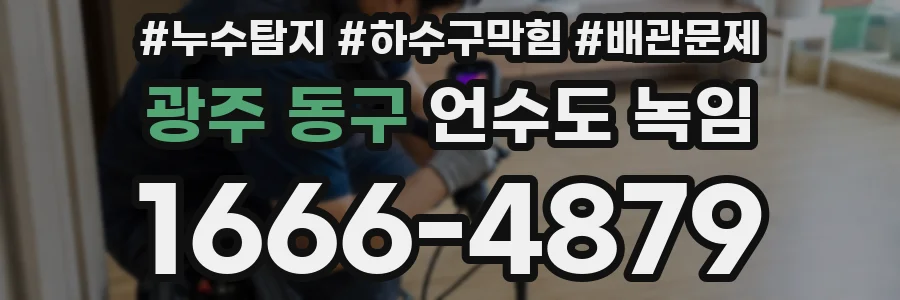 광주 동구 언수도 녹임