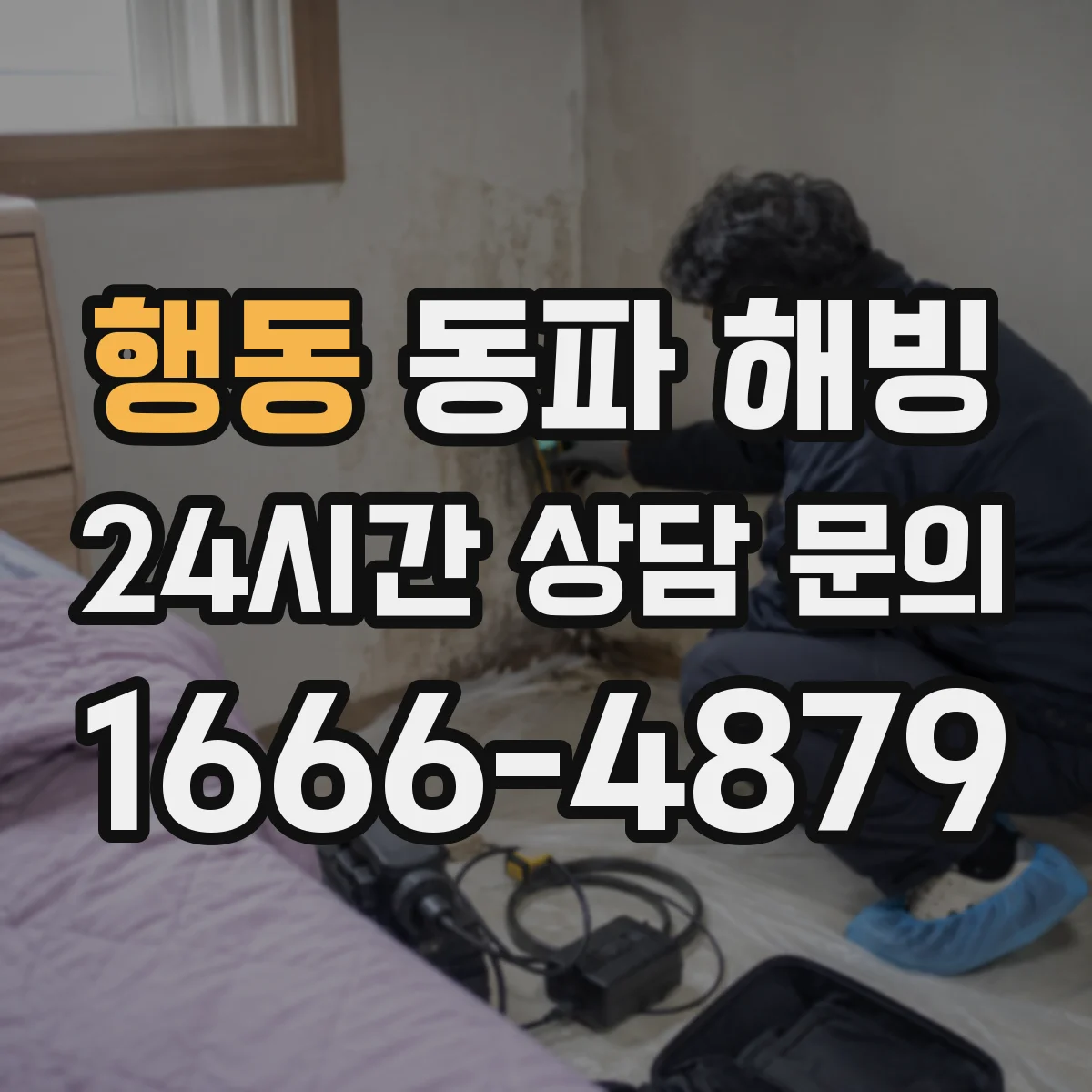 행동 동파 해빙