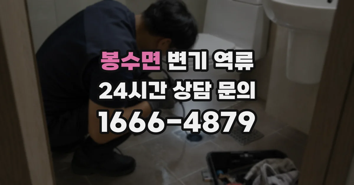 봉수면 변기 역류