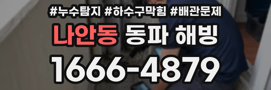 나안동 동파 해빙