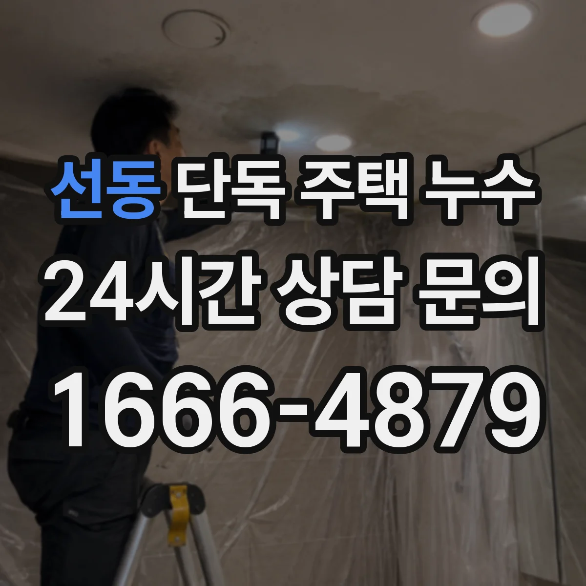선동 단독 주택 누수