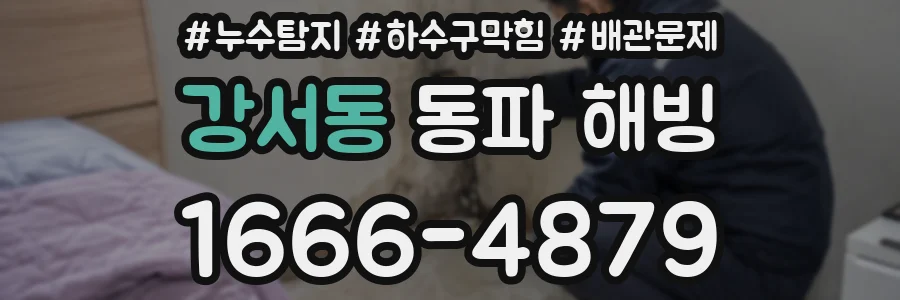 강서동 동파 해빙