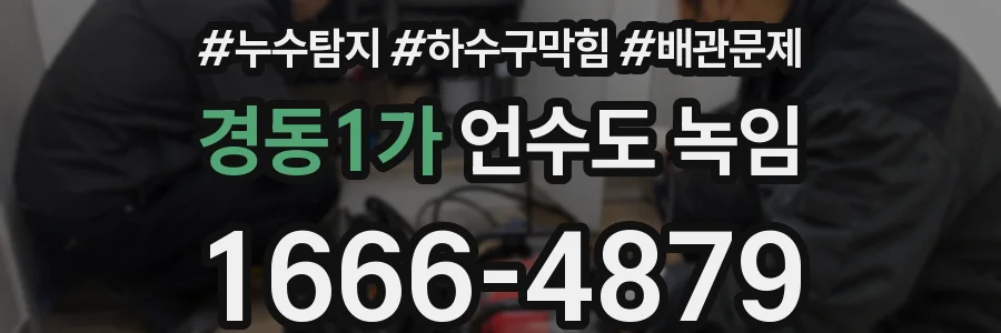 경동1가 언수도 녹임