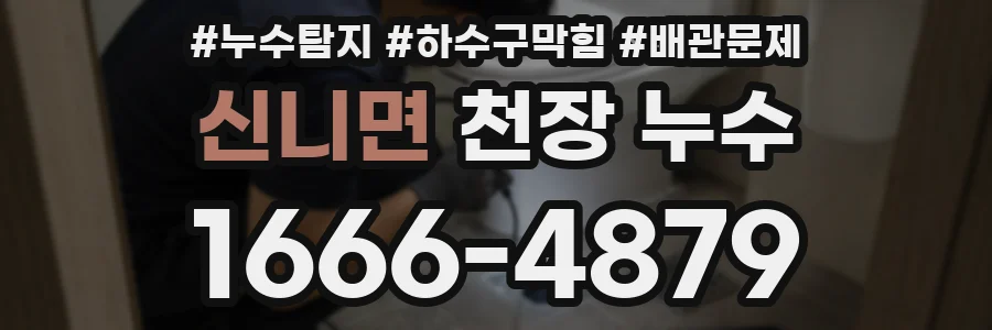 신니면 천장 누수