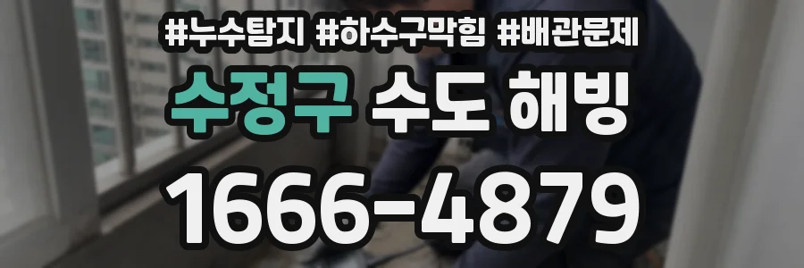 수정구 수도 해빙