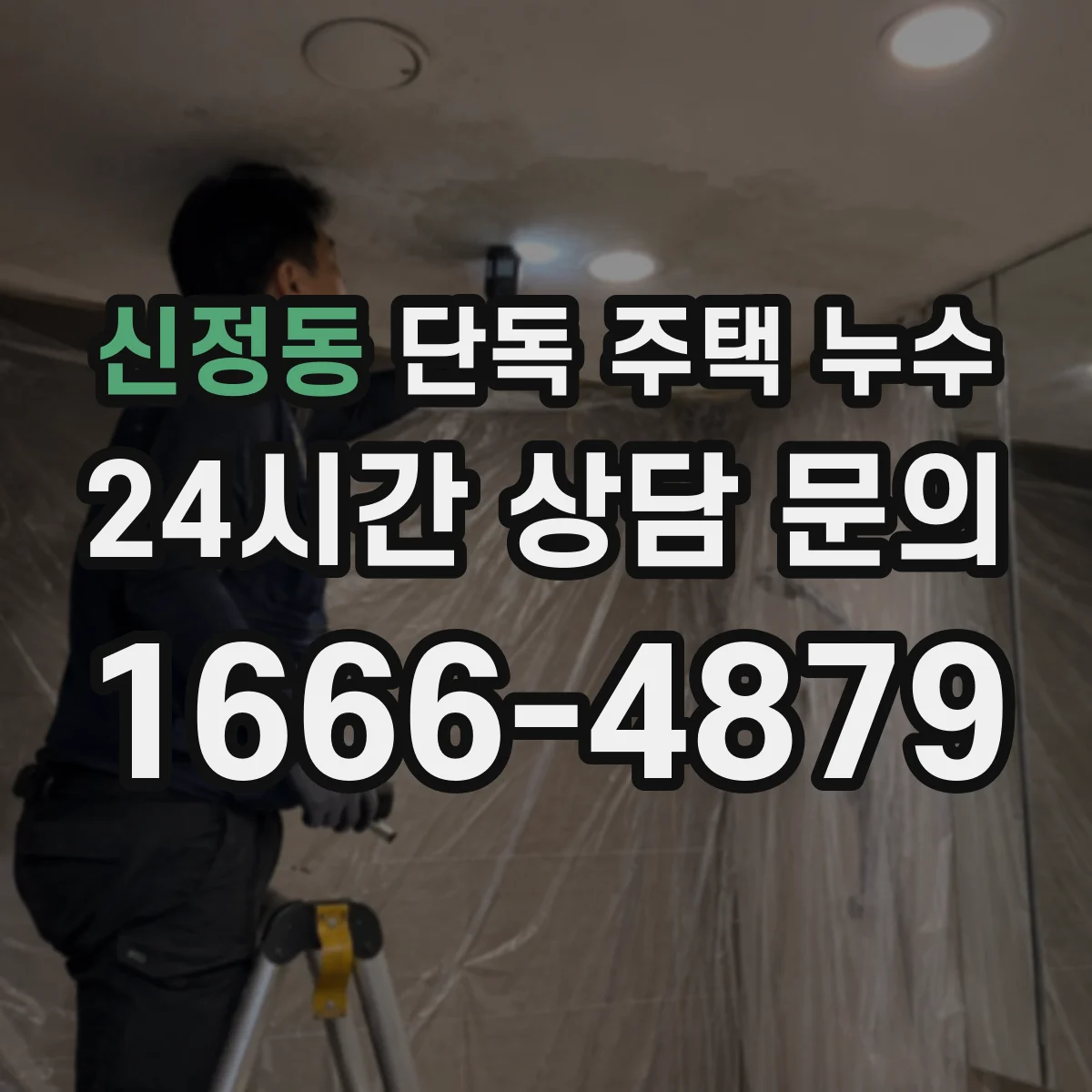 신정동 단독 주택 누수