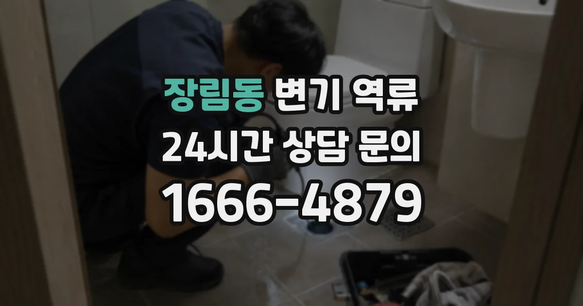 장림동 변기 역류
