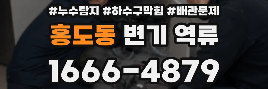 홍도동 변기 역류