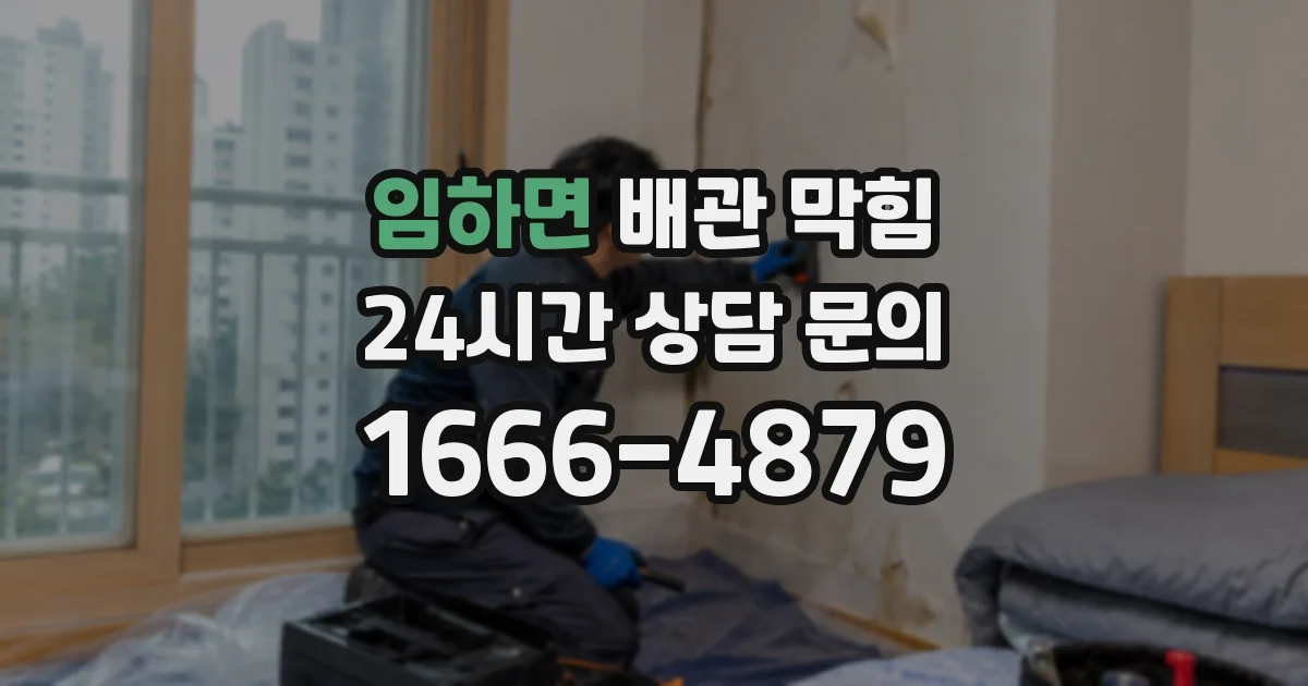 임하면 배관 막힘