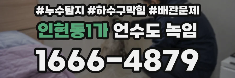 인현동1가 언수도 녹임