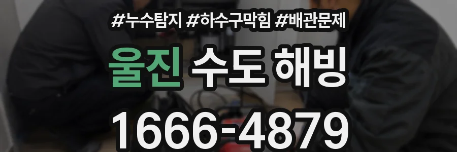 울진 수도 해빙