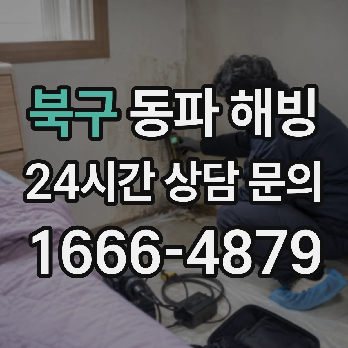 북구 동파 해빙 가스보일러 분배기 라인 잠긴 경우 조치