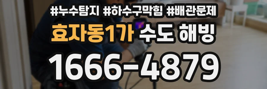 효자동1가 수도 해빙