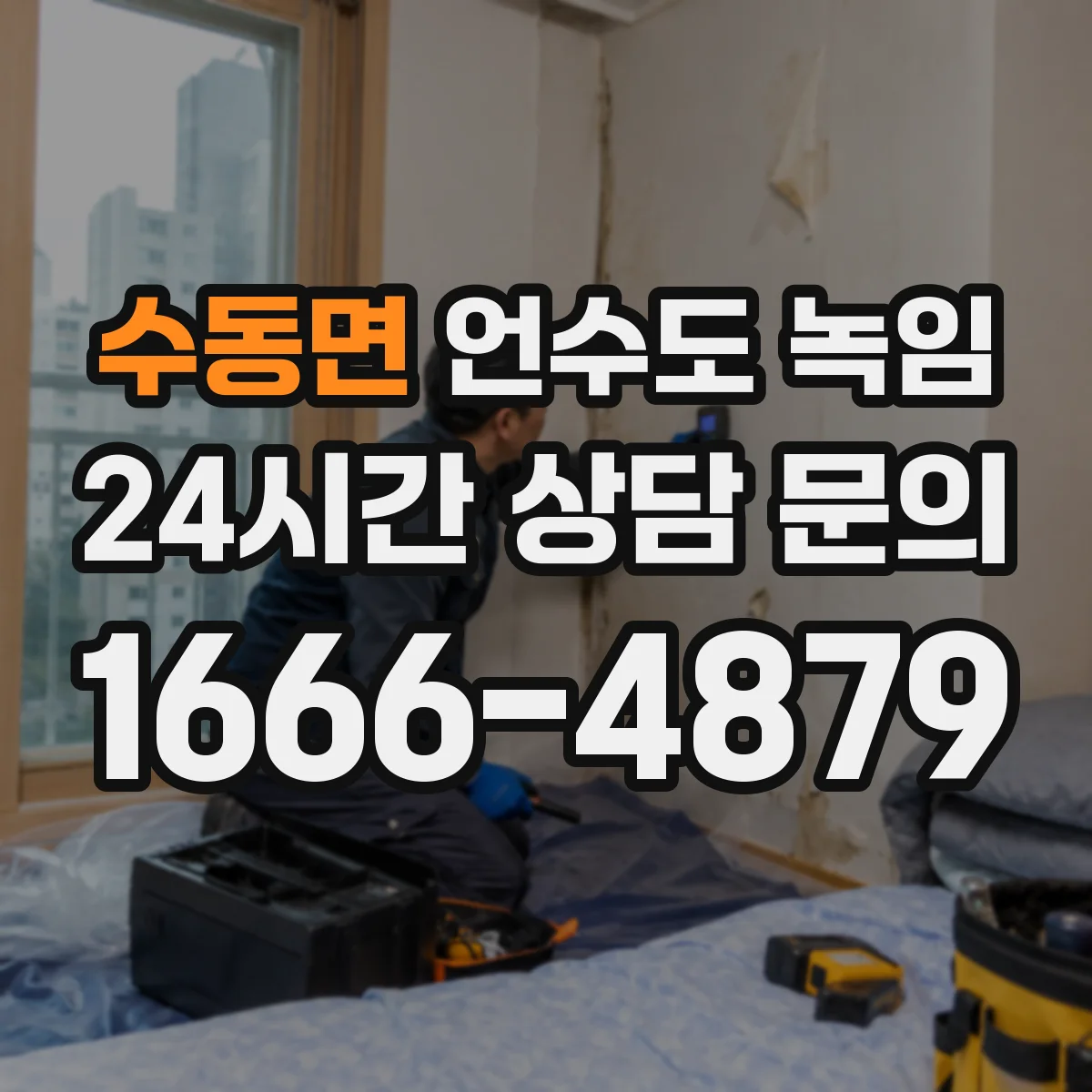 수동면 언수도 녹임