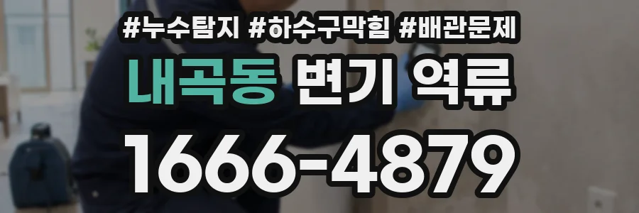 내곡동 변기 역류