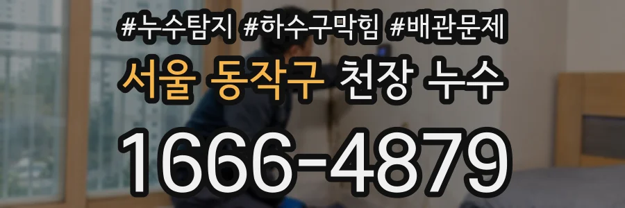 서울 동작구 천장 누수