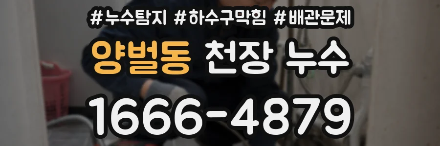 양벌동 천장 누수