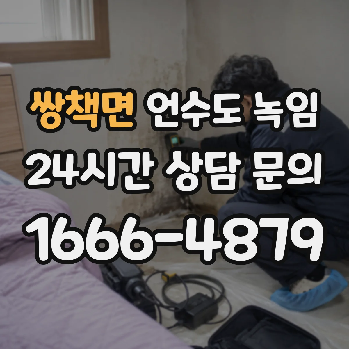 쌍책면 언수도 녹임