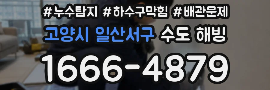 고양시 일산서구 수도 해빙