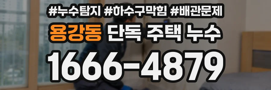 용강동 단독 주택 누수