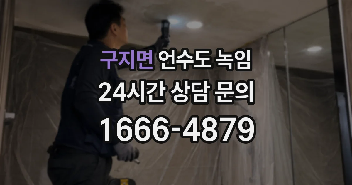 구지면 언수도 녹임