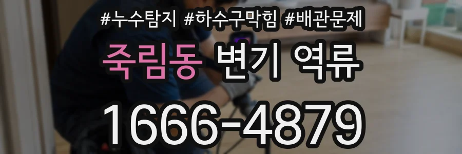 죽림동 변기 역류