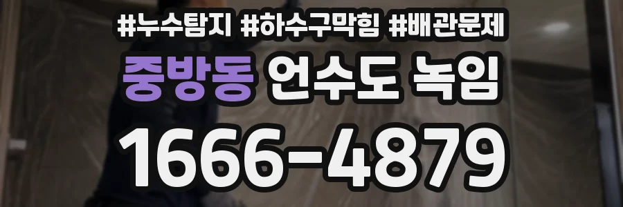 중방동 언수도 녹임